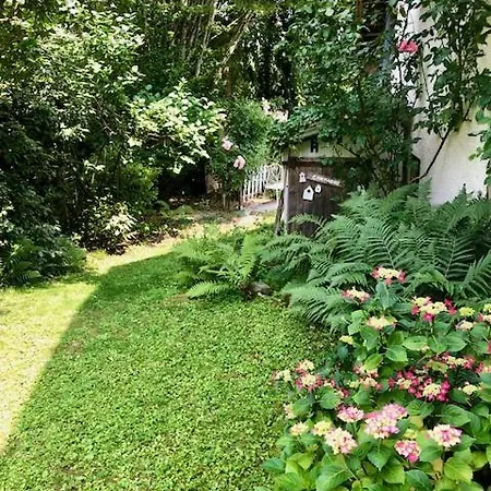 La Mazzeriniere Guest house *